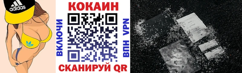 Купить  Кологрив  Cocaine Эквадор 