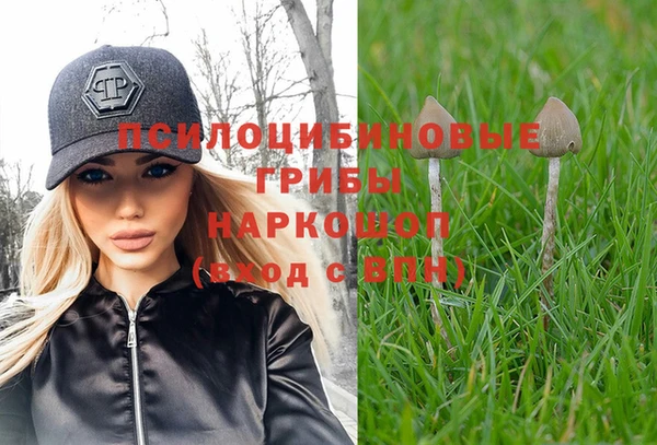 MDMA Premium VHQ Богородицк