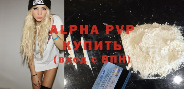 спайс Богданович