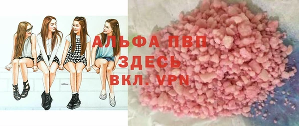спайс Богданович