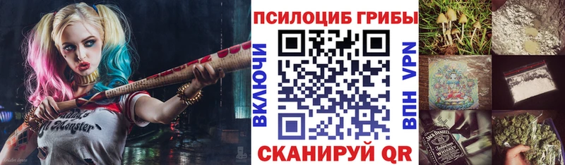 Псилоцибиновые грибы Psilocybine cubensis  Купить закладки  Кологрив 