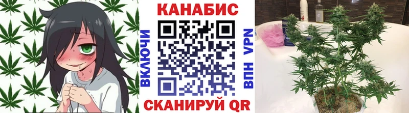 Каннабис ГИДРОПОН  Купить  Кологрив 